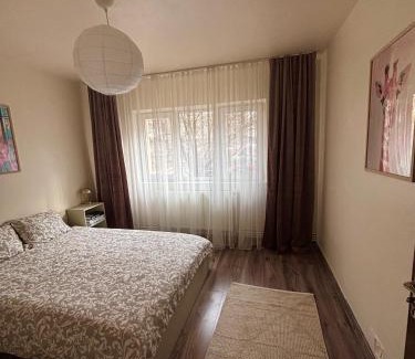 Vulcan Apartment | La Căsă