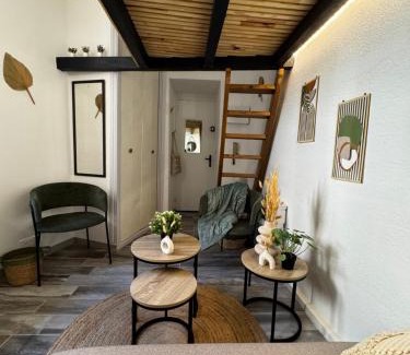 Avignon City Centre Apartment | La cabane des Gémeaux - Studio