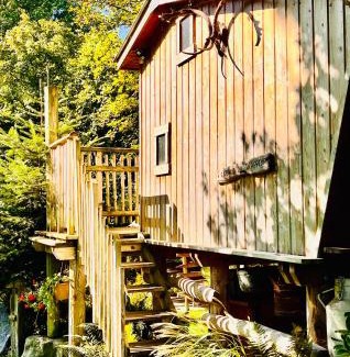 Ecrainville Other | La cabane perchée du trappeur