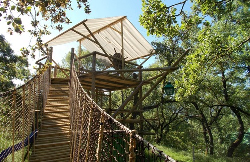 Zafarraya House | La Carpa.Bigtop in a woodland setting