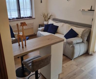 Ravascletto Apartment | La Casa degli Sbilfs - Wi-Fi, Netflix e Garage Box , a 2 minuti dallo Zoncolan