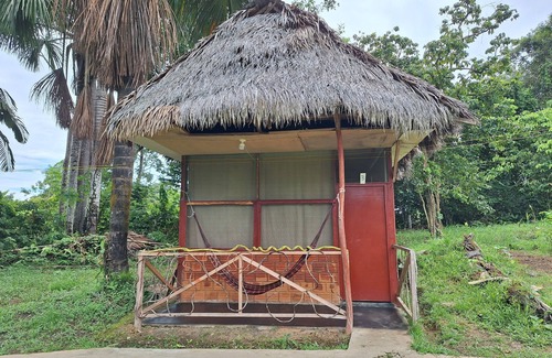 Indiana Cabin | La Casa del Ayahuasca - Luz del Amazonas