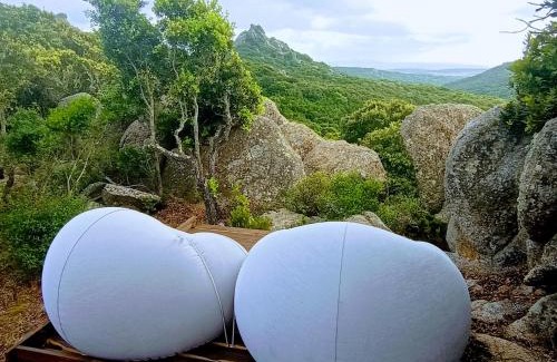 Santa Teresa di Gallura Other | La Cera Farm Camping B&B