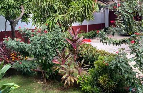 Cap-Haitien House | La Difference GuesthousenEconomical/Comfortable/Gorgeous/20 mins -Center/Airport