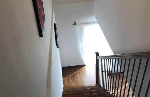 Timisoara House | La Masion Paul de inchiriat in regim hostel & apartament