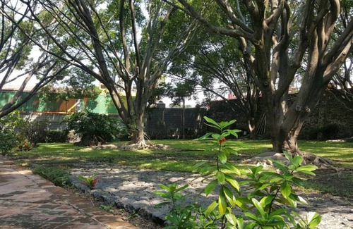 Crucero Tezoyuca House | La Palma, un lugar donde puedes estar en contacto con la naturaleza.