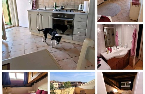 Gedici Apartment | La Peppina - Charming apartment with large terrace near Porec and the sea + pool