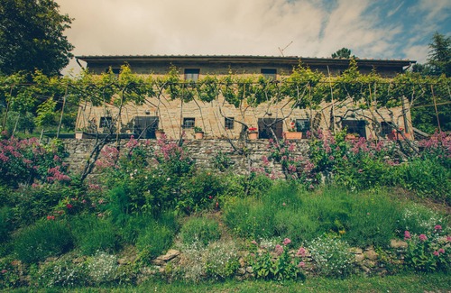 Cortona House | La Pergola typical Tuscan house with wonderful view