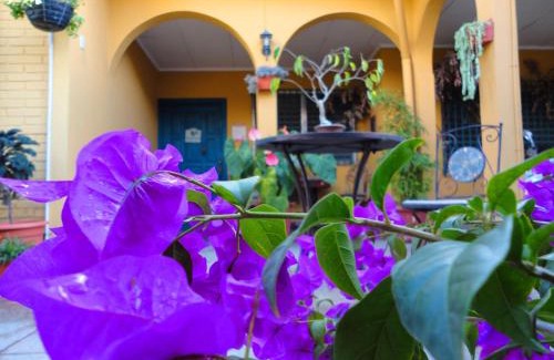 Santa Rosa Copan Bed & Breakfast | La Posada de Juan B&B