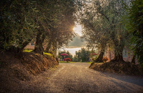 Montecarlo Villa | La Principessa Tuscan farmhouse with pool on wine road of Montecarlo-Lucca
