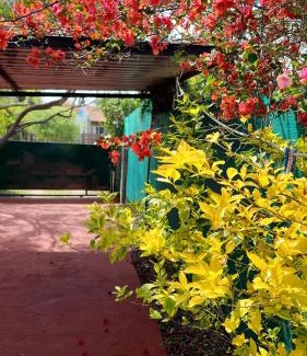 Villa Argentina House | La Quimera a pasos de la playa