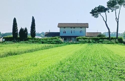 Capaccio Scalo House | La Ricarda Dimora di Campagna