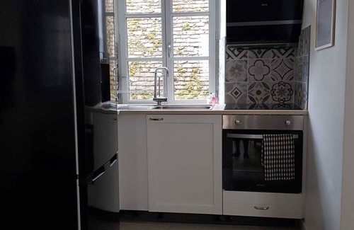 Romorantin-Lanthenay Apartment | La Sirène, Entre le zoo de Beauval et les Châteaux de la Loire