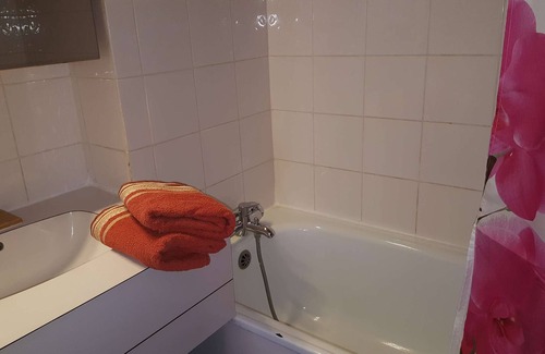 Les Avanchers-Valmorel Apartment | La Souche 10 - Charming 2-room apartment, ski-in ski-out