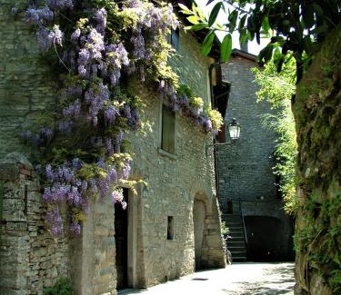 Palazzuolo sul Senio House | La Torre del Vicario