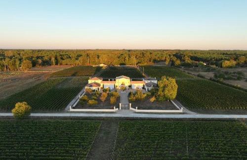 Saint-Laurent-de-Medoc Villa | La Tour Bélize du Château Saint-Laurent