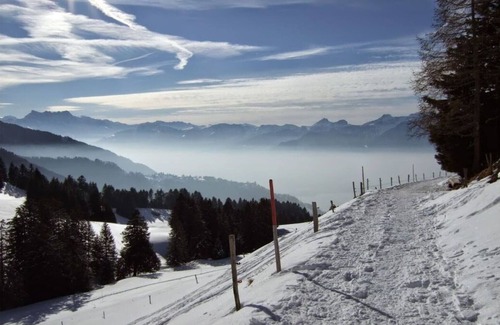 Montreux House | La Vigneronne, Tuin