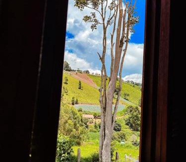 Camanducaia Cabin | LaDomita