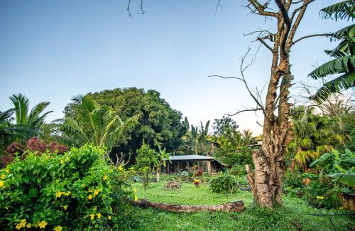 Bambous Virieux House | Laferm Coco