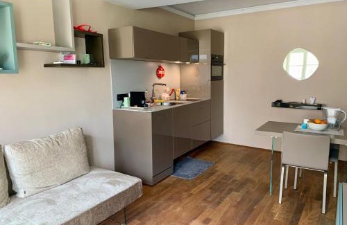 Ville Haute Apartment | Lago Welcome Palais Suite