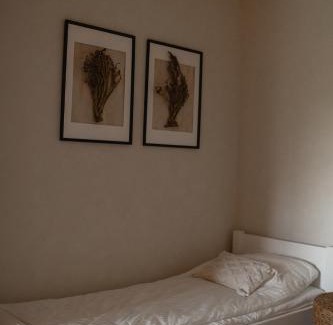 Darsuniskis Apartment | LAGUNA SPA šeimos poilsio namai