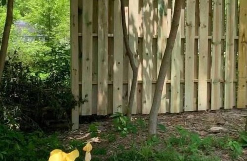 Columbia City Cottage | Lake Access Cottage, fenced, private, pet friendly, sleeps 6 with sleeper sofa