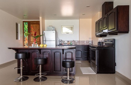 Naranjos Agrios Condo | LAKE ARENAL, POOL VIEWS NEW CONDO 1B/1 B