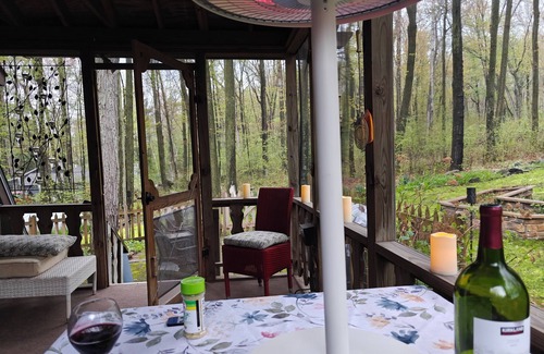 Iola Cottage | Lake + forest view 1650 sf cottage in rolling hills of Central Wis. LAKE ACCESS.