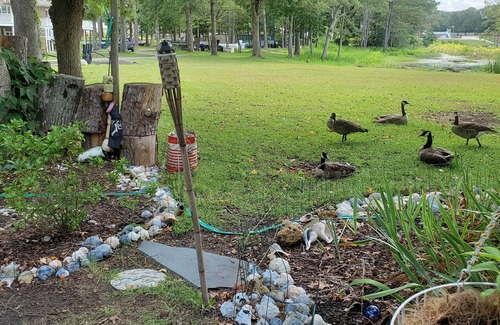 Richlands House | Lake front, 4 miles from OAJ airport. RVs welcome. Only 2 neighbors, no noise.