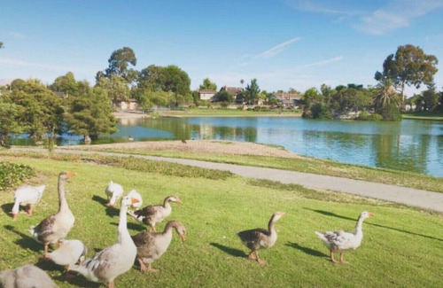Lake Area House | Lake front; New 65 smart TV;New refrigerator; New dishwasher