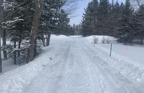 Trout Lake Cabin | Lake front Rustic Cabin in the UP, Snowmobile-ATV trails, Falls, Mackinaw Island