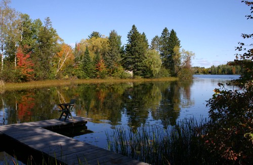 Hayward Cabin | Lake Hayward Log Cabin-Close to Everything