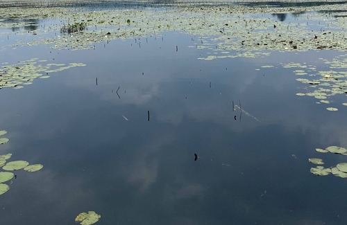 Dingmans Ferry House | Lake House Retreat- pedal boat, kayaking and fishing