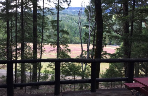 Potter Valley Cabin | Lake Pillsbury/Hull Mt.CabinStudio w/Kitchenette