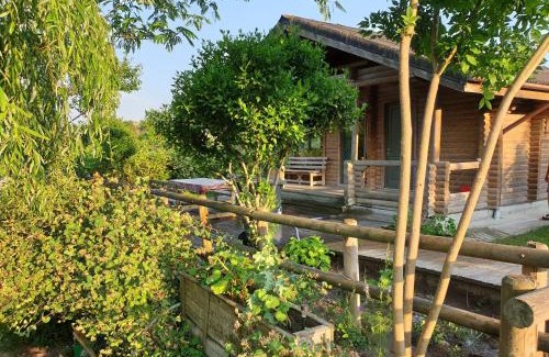 Dunavatu de Jos House | Lake Side - Lângă Lac