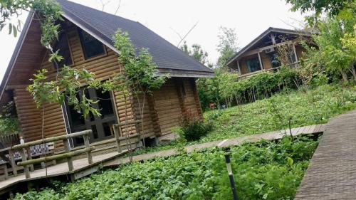 Dunavatu de Jos House | Lake Side - Lângă Lac