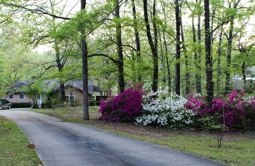 Milledgeville House | Lake Sinclair property in a peaceful area and very convenient location.
