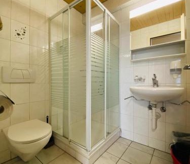 Goldswil Apartment | Lake View Apartment - 12