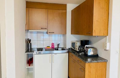 Goldswil Apartment | Lake View Apartment - 12