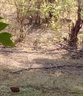 Udawalawa Bed & Breakfast | Lake viwe