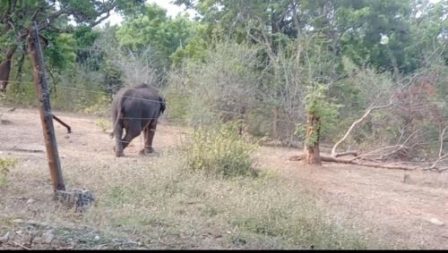 Udawalawa Bed & Breakfast | Lake viwe