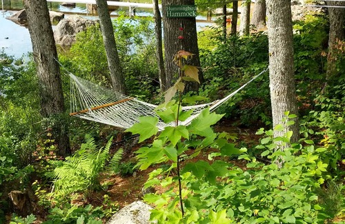 Franklin House | Lakefront Home On Beautiful Donnells Pond,32 miles From Acadia N P and Bar Harbr