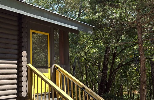 Townville Cabin | Lakefront Log Cabin + Wooded Paradise + Close to Clemson + 2 Kayaks