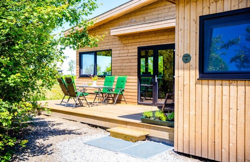 Grou Cabin | Lakefront Nature House in Friesland: Sweltsje