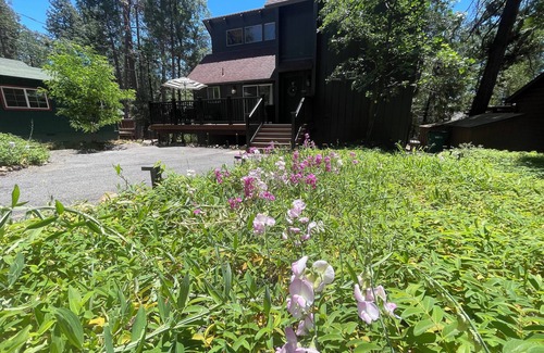Twain Harte House | Lakeshore Luxury: A Family Retreat for Every Season with LAKE ACCESS!