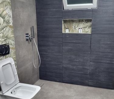 Udenisht Apartment | Lakeside View Apartment