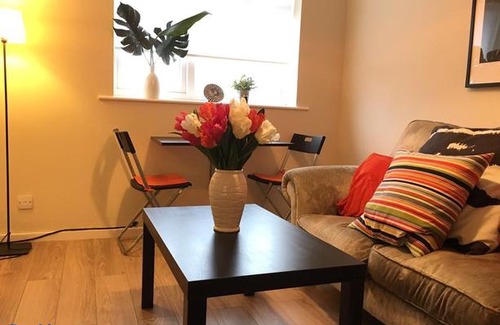 Wolverhampton Apartment | Lakeside View