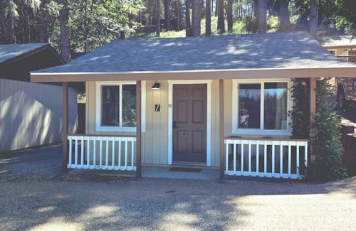 Chicago Park Cabin | Lakeview Country Cabin ~ Studio King Bed w/Futon
