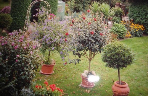 Wurding Apartment | Landhaus Strangmüller