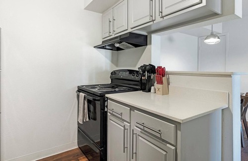 Windsor Park Apartment | Landing at Mueller Flats - 1 Bedroom in Windsor.